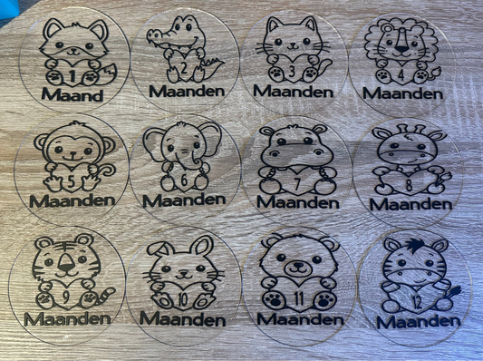 Baby mijlpaalkaarten – Set van 12 (maanden)
